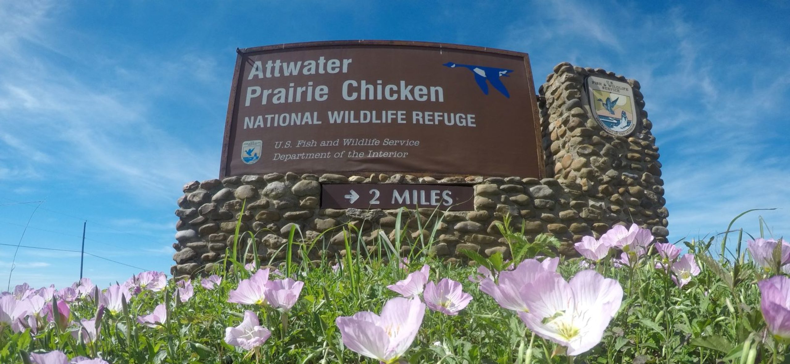 Friends of Attwater Prairie Chicken Refuge
